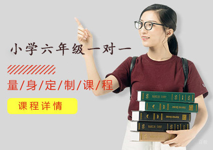 重庆小学六年级一对一辅导课程