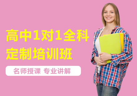 上海高中1对1全科定制培训班