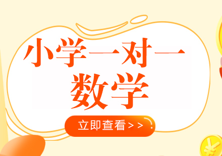 成都小学一对一数学辅导课程