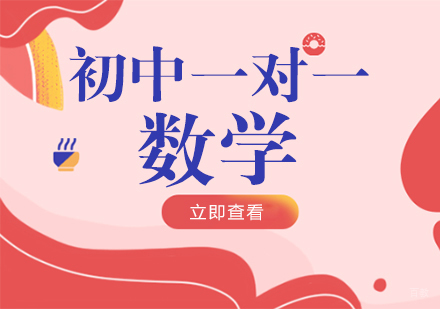 成都初中一对一数学培训课程