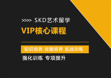 武漢SKD藝術留學_VIP核心課程