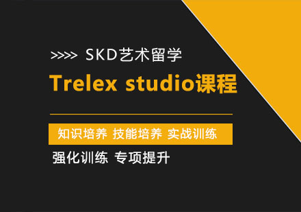 武漢SKD藝術留學_Trelexstudio課程