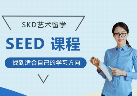 武汉SEED课程