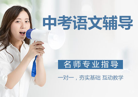 天津中考语文辅导