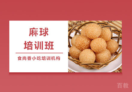 麻球培训班