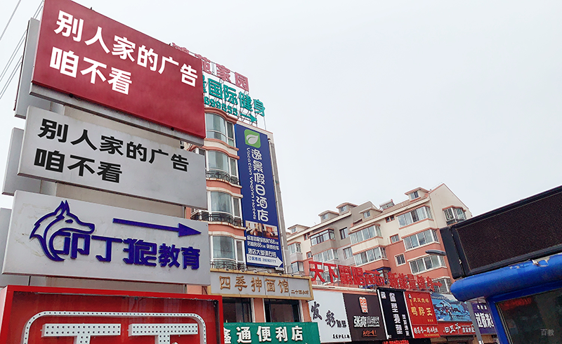 上海叩丁狼教育学习环境