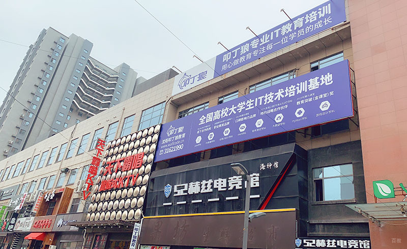 上海叩丁狼教育学习环境