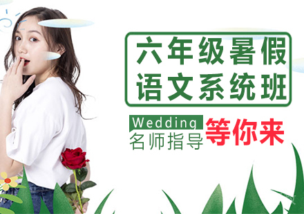 六年级暑假语文系统班
