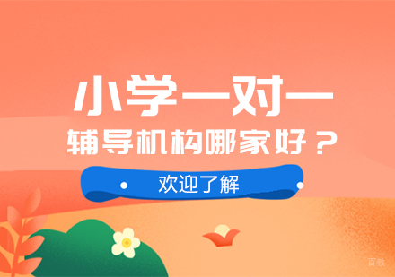 小学一对一辅导机构哪家好？
