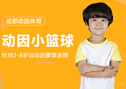 成都动因体育_成都动因小篮球班