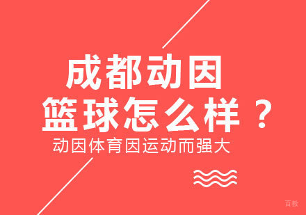 成都体育项目训练-成都动因篮球怎么样？