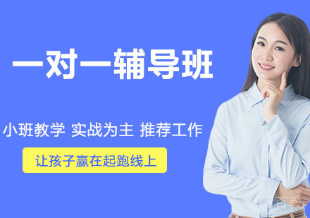 一对一辅导班