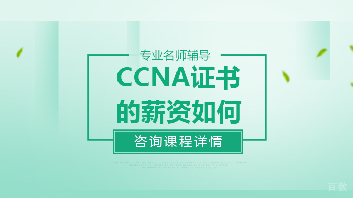 CCNA证书的薪资如何