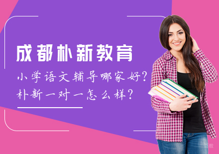 小学语文辅导哪家好？朴新一对一怎么样？