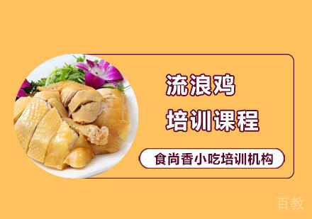流浪鸡培训课程