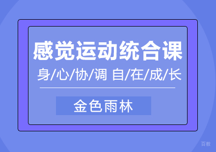成都感觉运动统合训练