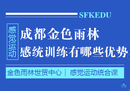 成都学习能力训练-成都金色雨林感统训练有哪些优势