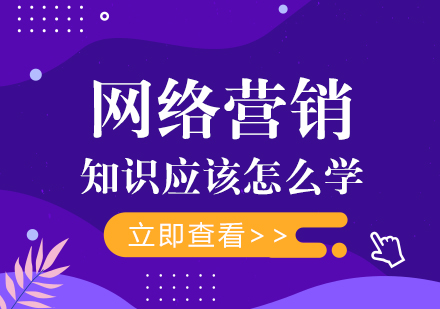 网络营销知识系统化学习全攻略：从建站到运营的实操指南