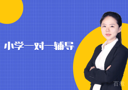 洛阳小学语数英一对一培训