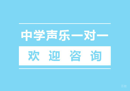 北京中学声乐一对一培训