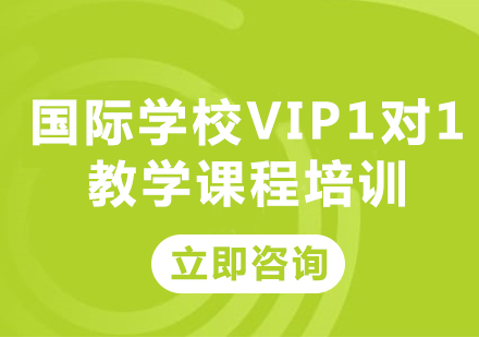 北京国际学校入学考试VIP1对1教学课程培训