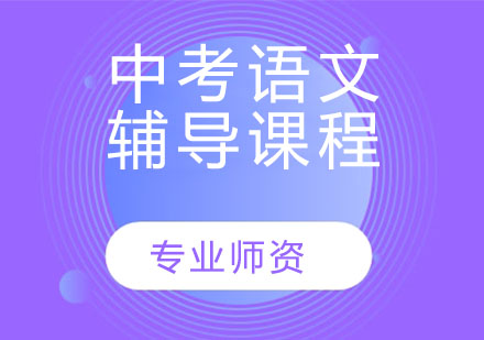 天津中考语文辅导课程