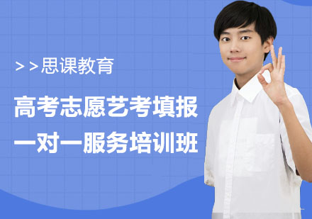 高考志愿艺考填报一对一服务培训班