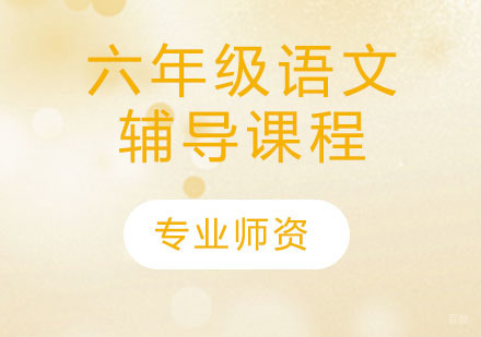 天津六年级语文辅导课程