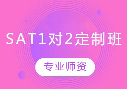 長春SAT1對2定制班