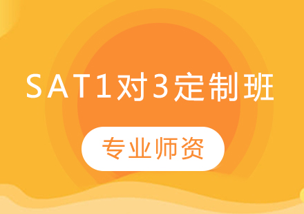 長春SAT1對3定制班