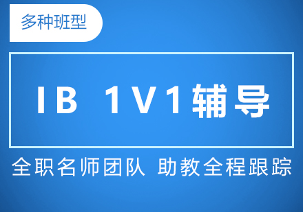上海IB课程IB课程一对一定制辅导