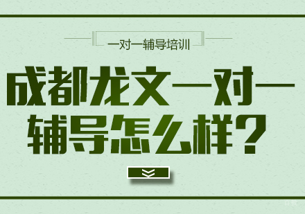 成都-成都龙文一对一辅导怎么样？