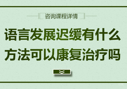 语言发展迟缓有什么方法可以康复治疗吗