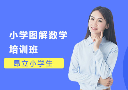 小学图解数学培训班