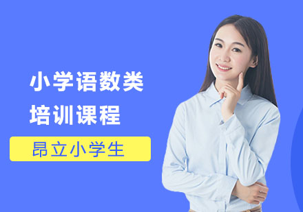 小学语数类培训课程