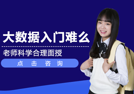 大数据入门难么