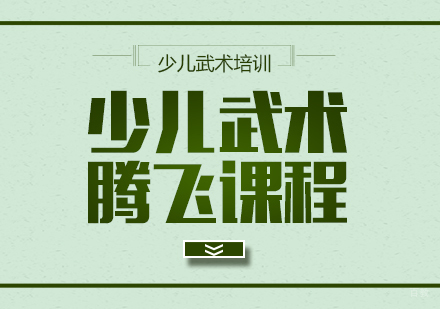 重庆少儿武术腾飞课程