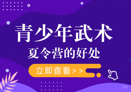 青少年武术夏令营的好处