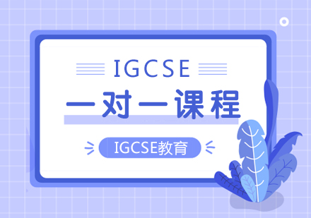 成都国际高中IGCSE一对一课程