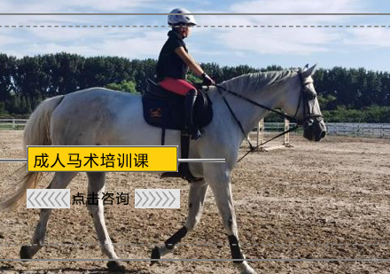 北京蓝调月河湾马术俱乐部_北京成人马术课程培训