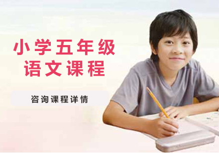 北京小学五年级语文课程培训