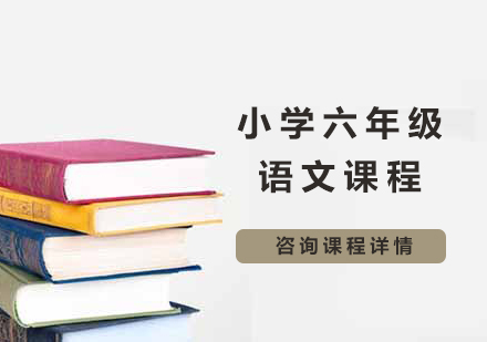 北京小学六年级语文课程培训