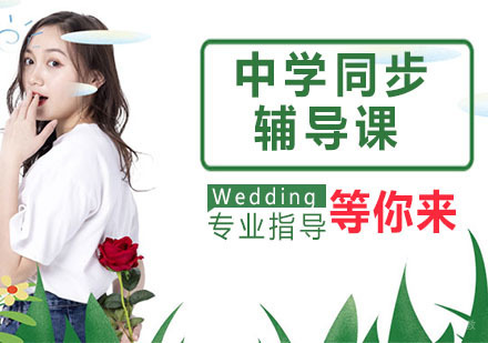 中学同步辅导课