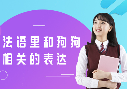 法语里和狗狗相关的表达