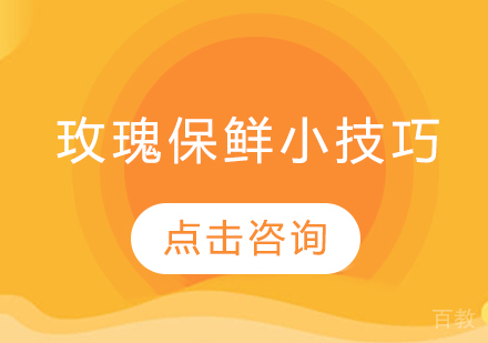 玫瑰保鲜小技巧