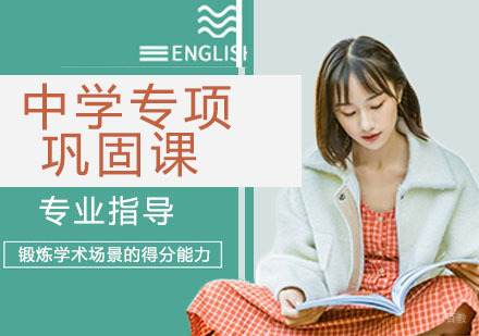 天津中学专项巩固课