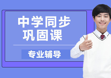 天津中学同步巩固课