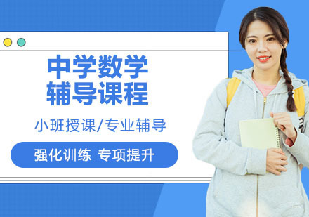 天津中学数学辅导课程