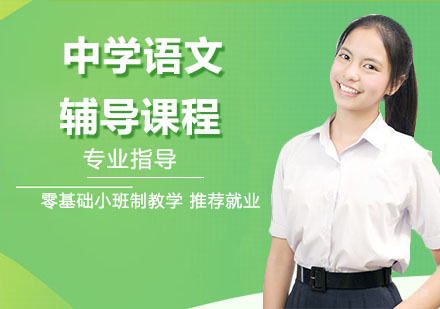 天津中学语文辅导课程