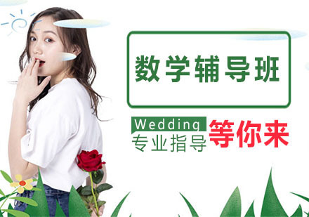 天津数学辅导班